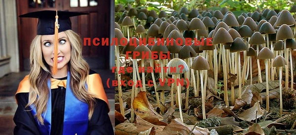 круглые Арсеньев