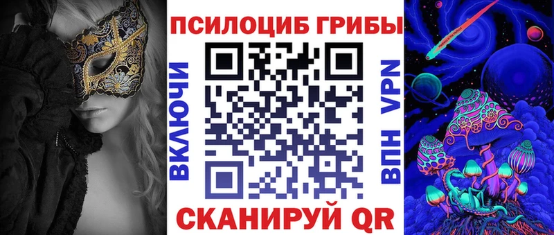 где найти наркотики  Могоча  Псилоцибиновые грибы Cubensis 